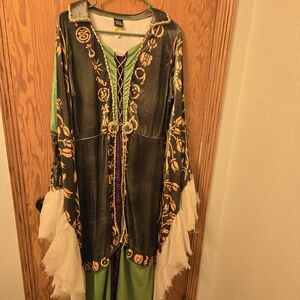 Medium Winnifred Sanderson Costume